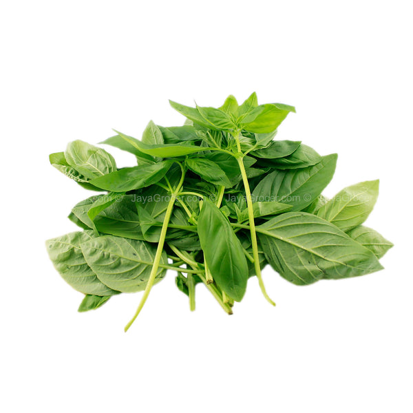 Cameron Garden Basil (Malaysia) 50g (highest price)