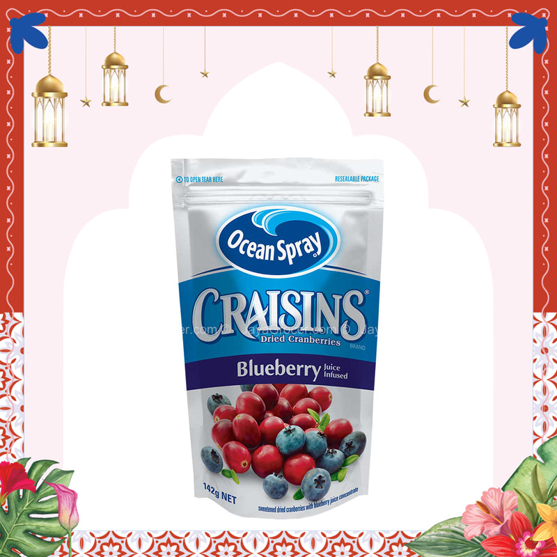 Ocean Spray Crainsins Dried Blueberry 142g