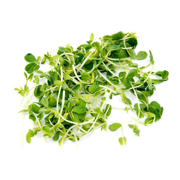 Cameron Garden Pea Sprout (Malaysia) 200g (highest price)