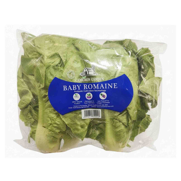 Cameron Garden Lettuce Baby Romaine (Malaysia) 200g (highest price)