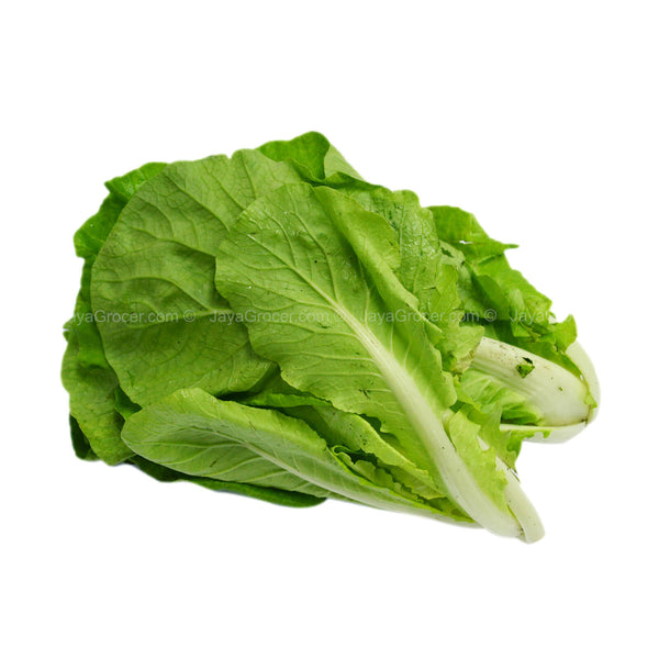 Summer Harvest Sawi Kerinting (Malaysia) 350g (highest price)