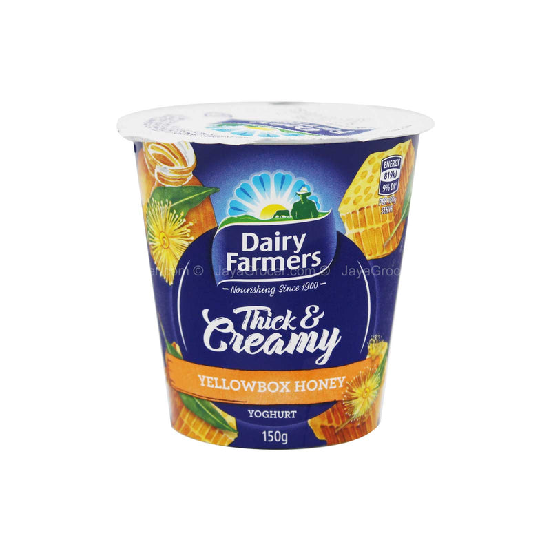 Dairy Farmers Thick and Creamy Yellow Box Honey Yoghurt 150g