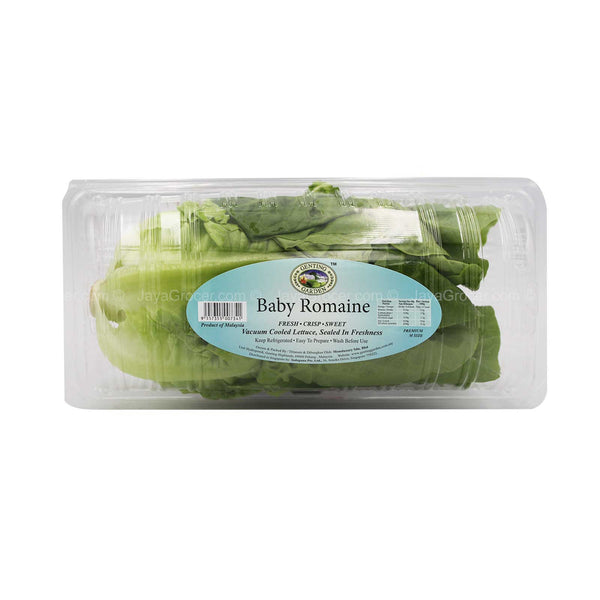 Genting Garden Baby Romaine Lettuce (Malaysia) 200g (highest price)