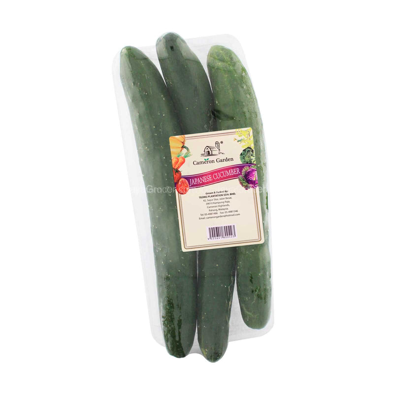 Cameron Garden Japanese Cucumber (Kyuri) (Malaysia) 3pcs/pack