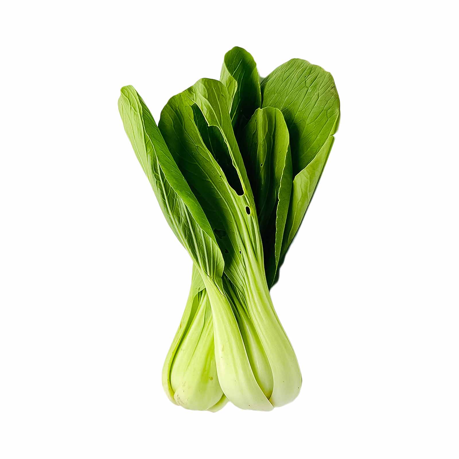 Zenxin Organic Siew Pak Choy (Malaysia) 200g