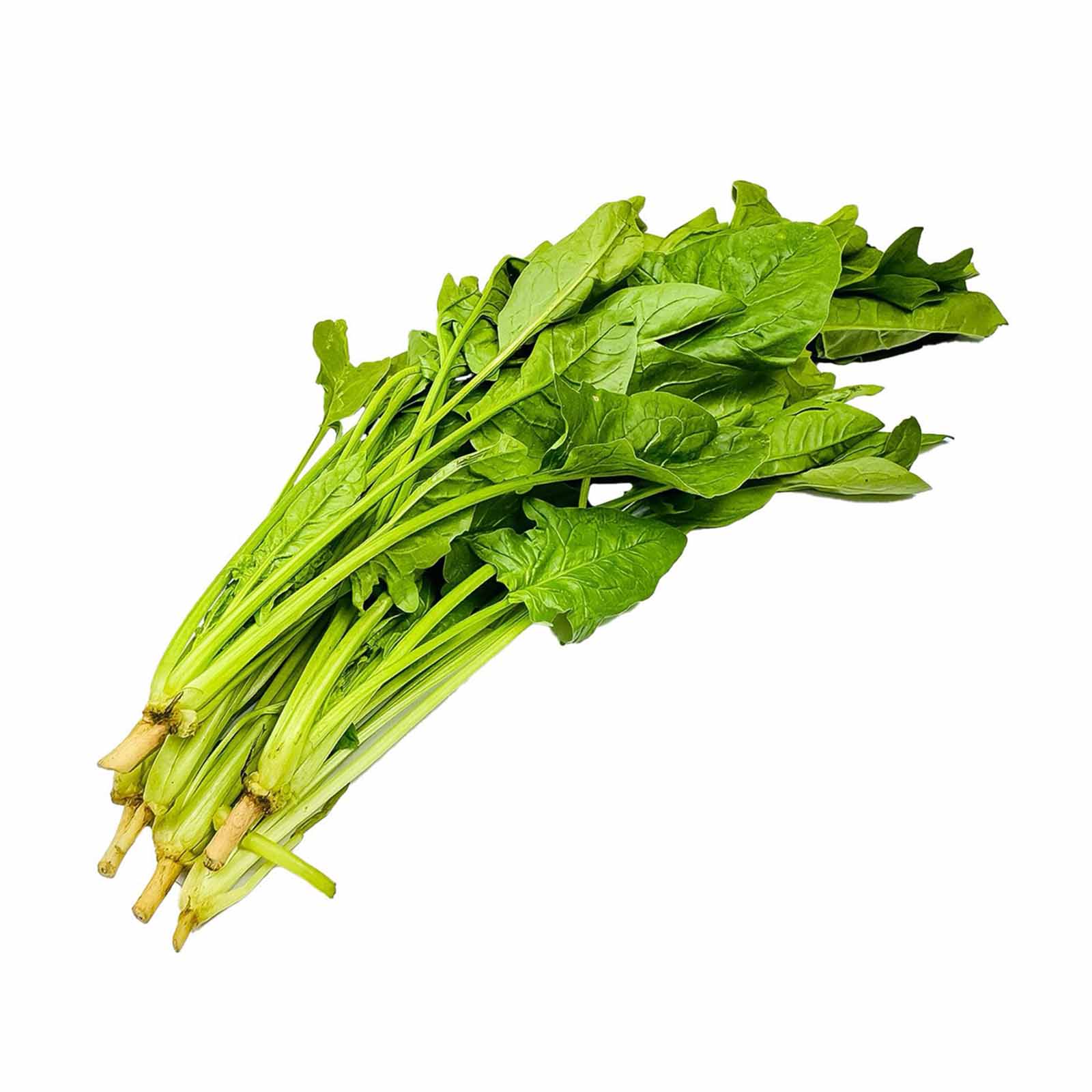 Zenxin Organic Spinach (Poh Choy) (Malaysia) 200g