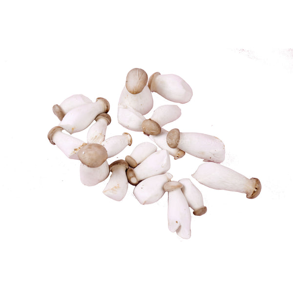 Korea Mini King Oyster Mushroom (Korea) 300g (highest price)