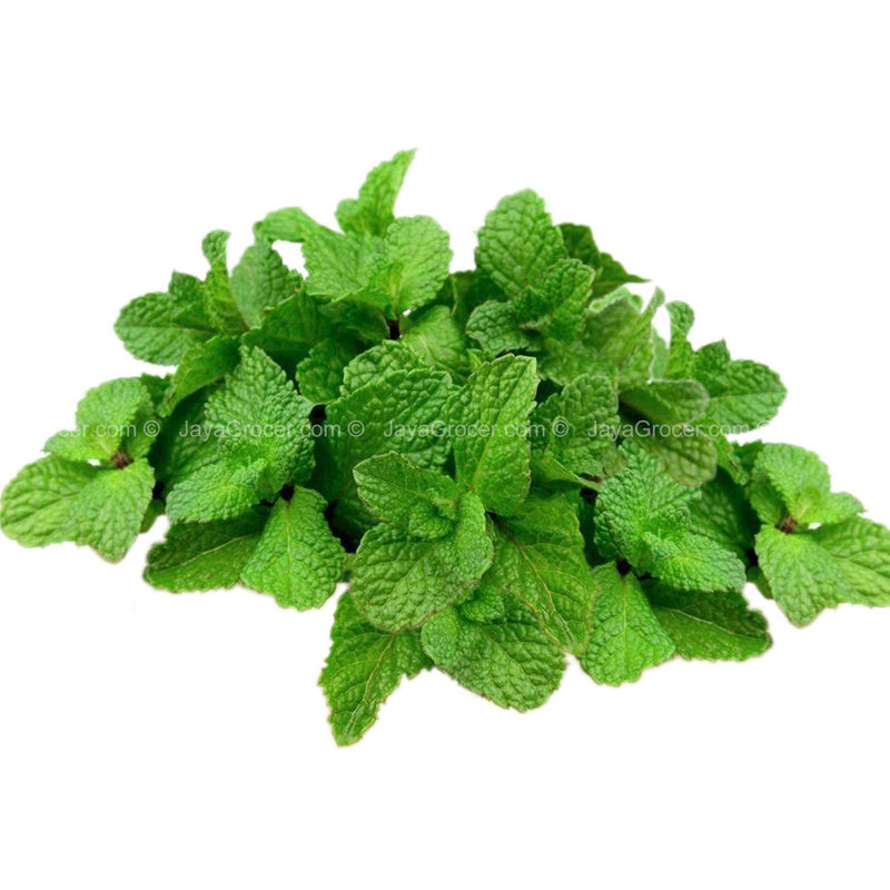 Cameron Garden Mint Leaf (Malaysia) 100g