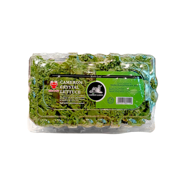 Cameron Garden Hotpot Crystal Lettuce (Malaysia) 250g (highest price)