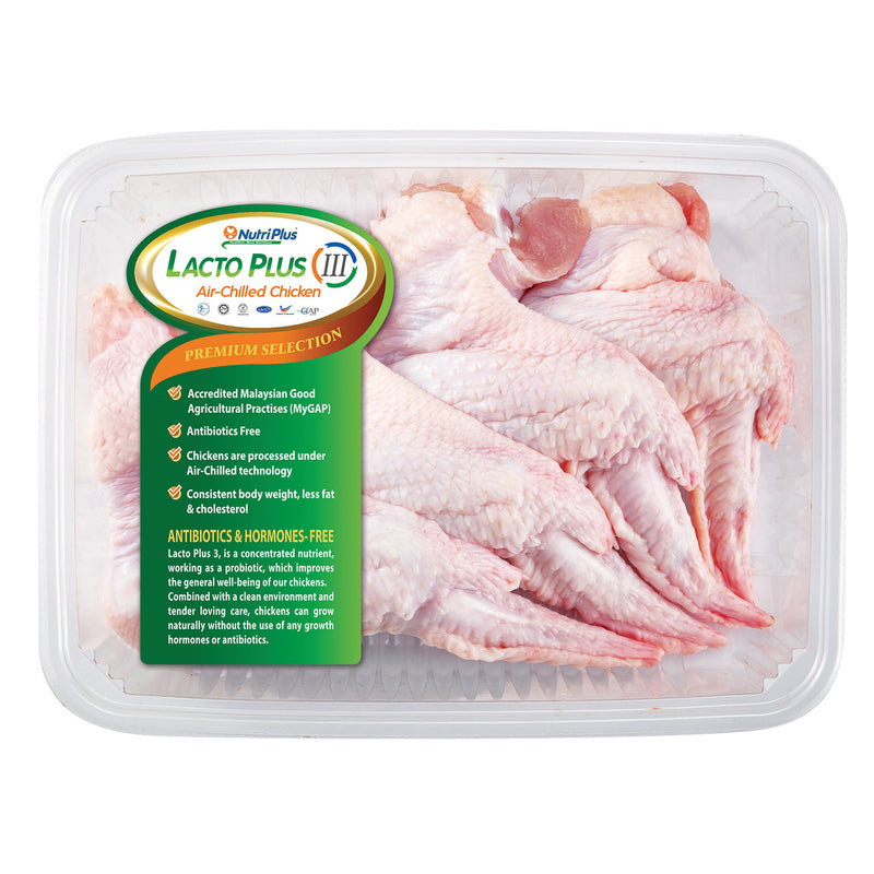 Lacto Plus III Wings 400g+/-