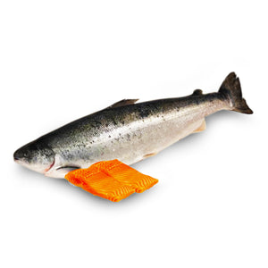 Norwegian Atlantic Salmon Fillet 200g