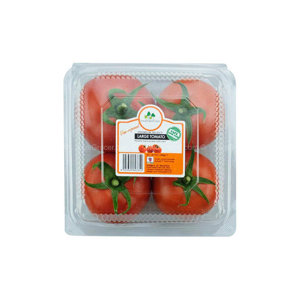 Food Forest Farm Large Tomato (Malaysia) 600g