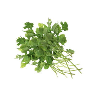 Coriander (Cilantro) (Malaysia) 50g