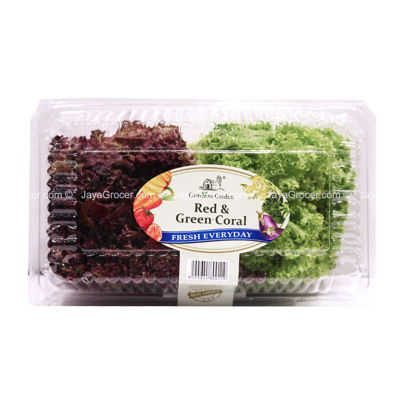 Cameron Garden Red and Green Coral Salad 250g