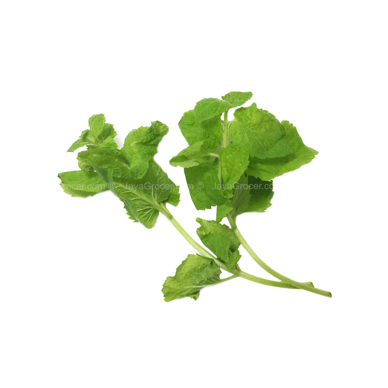 Genting Garden Apple Mint Herb (Malaysia) 10g