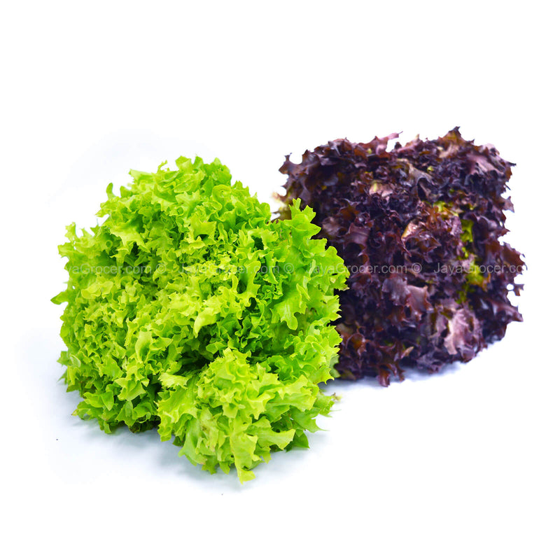 Paprika Farm Red/Green Coral Lettuce 200g