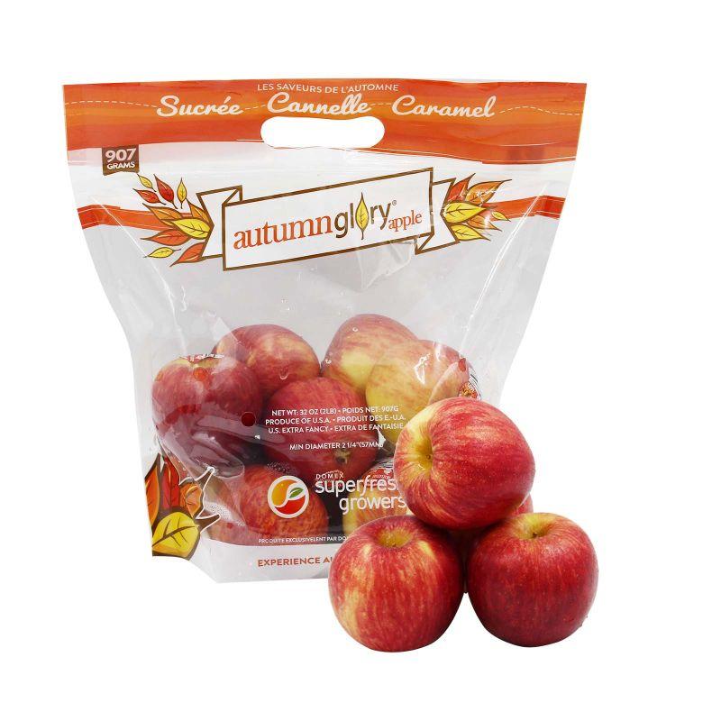 Autumn Glory Apple (USA) C10 10pcs/pack